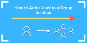 How To Add A User To A Group In Linux?